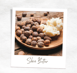 Ingredient Highlight: Shea Butter - Natures Ultimate Curl Nourisher