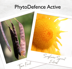 Ingredient Highlight: PhytoDefence Active - Nature's Advanced Protection
