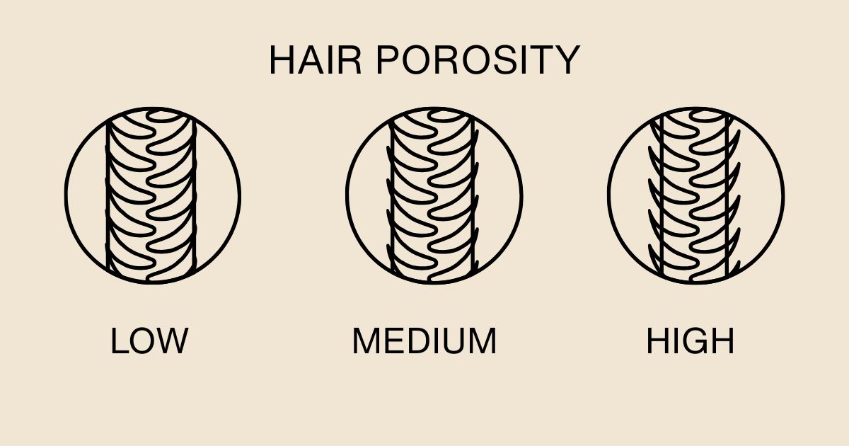 What Is Hair Porosity & Why Does It Matter For Healthy Curls?